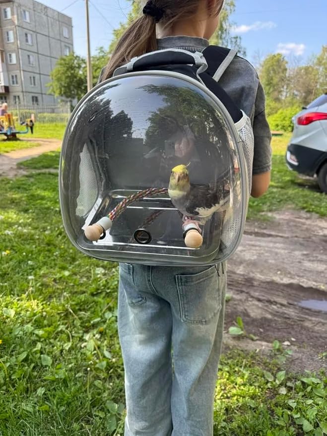 Small Bird Travel Backpack Carrier Cage, Backpack to Transport Backpack Carrier with Metal Tray Stand Perch for Parakeet Cockatiel Budgies Vet Carry Book Bag Black
