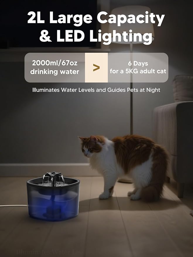 Automatic Cat Feeder and Water Fountain, 4L/16 Cups Timed Cat Dry Food Dispenser, 10s Meal Call, 20 Portions 6 Meals Per Day, 2L Cats Fountains for Drinking with Filter, Pet Feeder for Dog Black