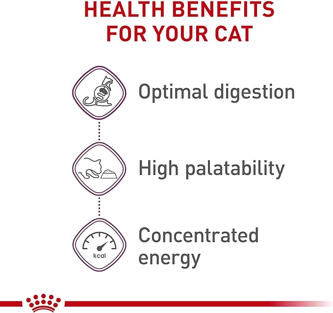 Royal Canin Feline Health Nutrition Sensitive Digestion Adult Dry Cat Food, 3.5 lb Bag