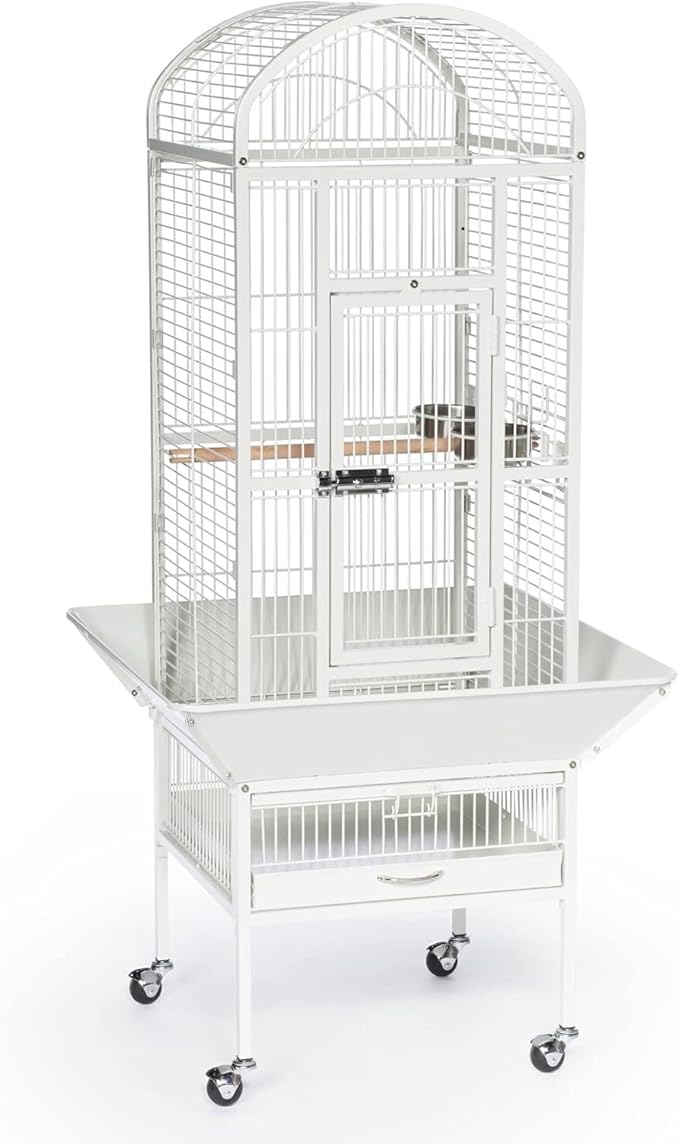 Renaissance Refinement Dome Top Cage with Sleek Nordic Design, Durable Construction, Spacious Interior, and Dome Top for Easy Access