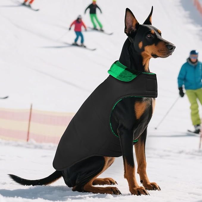 ASENKU Dog Winter Coat, Fleece Doggie Jacket Plaid Reversible Vest Waterproof Windproof Cold Weather Clothes for Small Medium Large Dogs (M, Green)