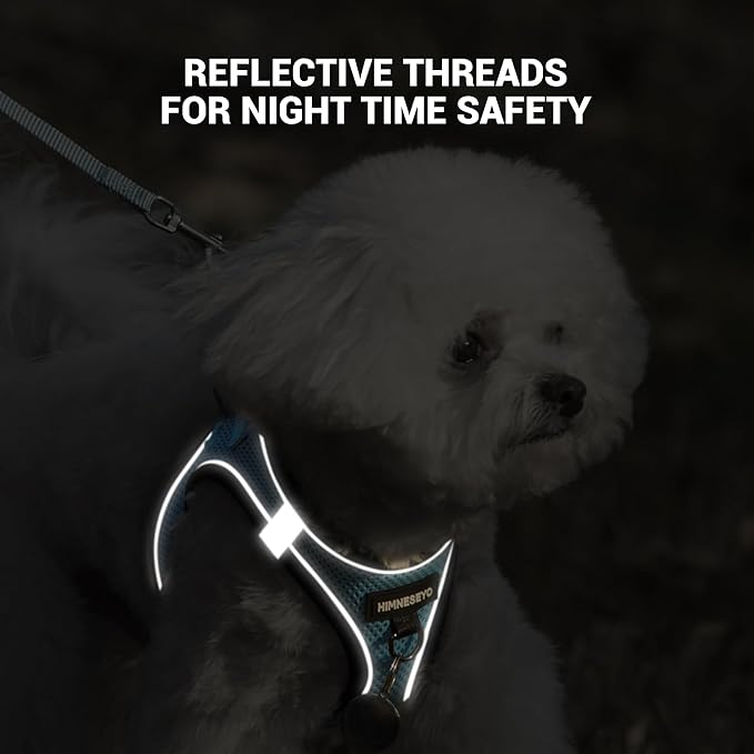 Dog Harness and Leash Set, Dog Harness for Dogs No Pull, No-Chock Step-in Reflective Breathable Lightweight Easy Walk Vest Harnesses with Safety Buckle for Small Medium Dogs, Cats (Light Blue, L)