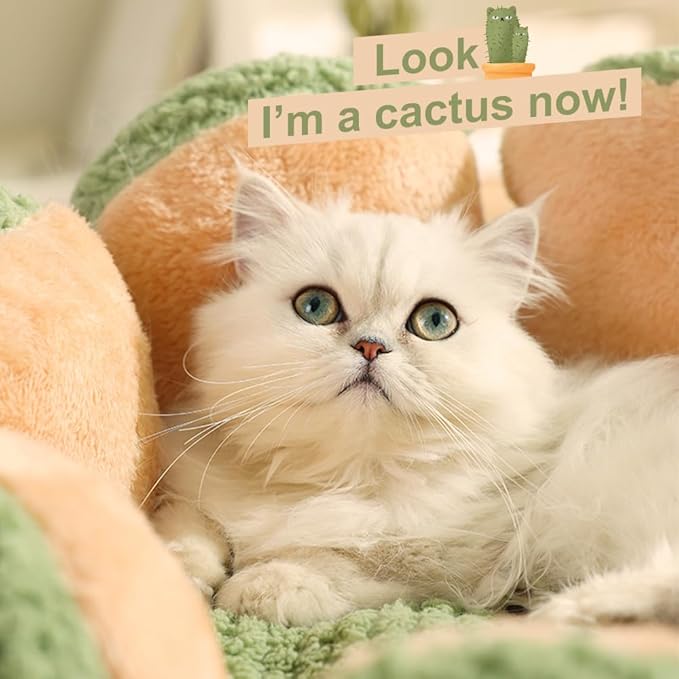 CWV Cute Cat Beds Kitten Beds, Soft Small Dog Beds, Washable Pet Beds for Puppy and Kitty, Cactus Shape, 23 Inch