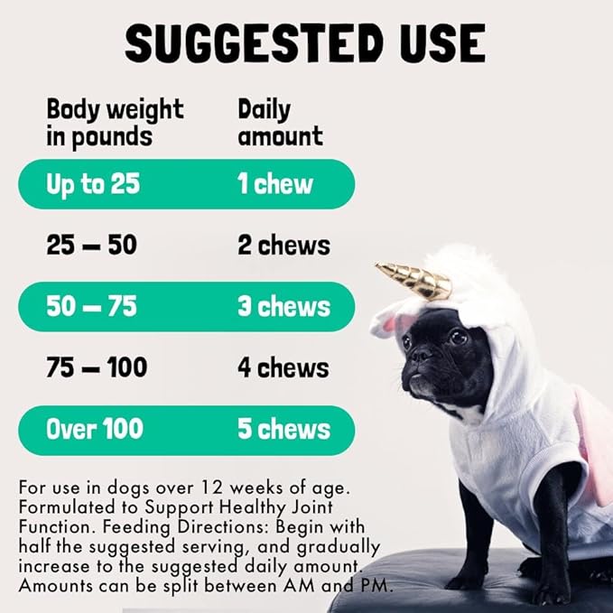 Hemp Hip & Joint Supplement for Dogs Soft Chews Made in USA Functional Glucosamine for Dogs Chondroitin MSM Turmeric Hemp Seed Oil Natural Pain Relief Mobility Advanced Joint 30 Treats