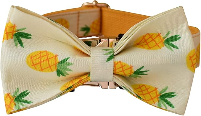 Custom Dog Collar with Names and Phone Number Engraved, Puppy Tags Personalized for Small Medium Large Pets