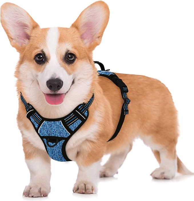 BARKBAY No Pull Dog Harness Large Reflective Dog Harness with Front Clip and Easy Control Handle for Walking Training Running with ID tag Pocket(Blue/Black,M)