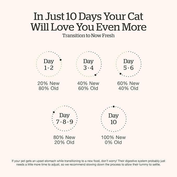 Now Fresh Grain-Free Dry Kitten Food with Turkey, Salmon & Duck, Healthy Kibble for Growing Cats with Real Meat & Fish, Chicken-Free, with Pumpkin & Probiotics for Sensitive Stomachs, 3 lb Bag