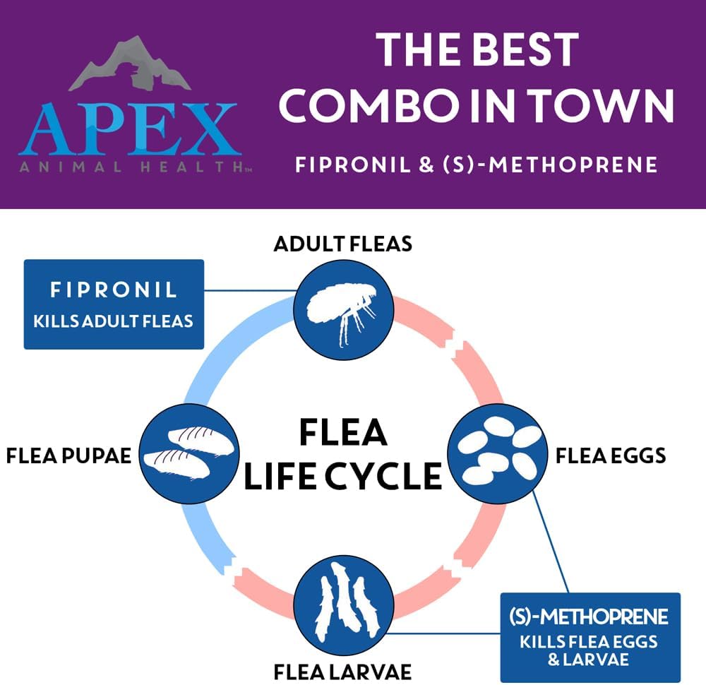 Apex Plus Flea and Tick Prevention for Dogs | Large (45-88 lbs) | 6-Month Supply | Dog Flea and Tick Treatment | 24-Hour Activation, Waterproof, 30-Day Protection