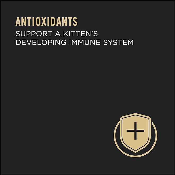 Purina Pro Plan Grain Free Pate Wet Kitten Food, Chicken Entree - (Pack of 24) 3 oz. Pull-Top Cans