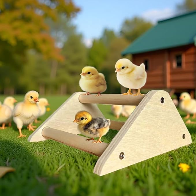 Chicken Toys, Roosting Bars for Chicks in Coop and Brooder, Wooden Chicken Perch, Coop Accessories for Large Bird, Baby Chicks, Parrot