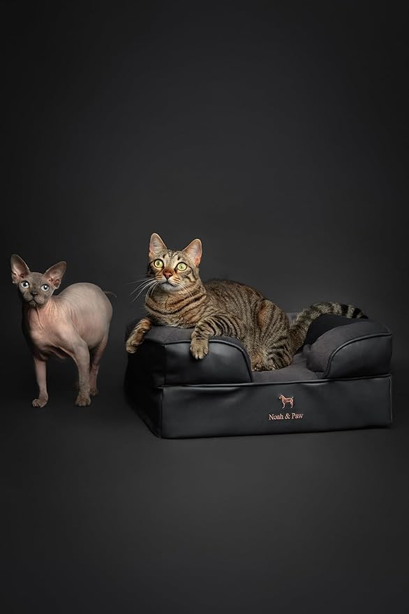 NOAH & PAW Small Dog Bed, 20x15x8 Inch, Cat Bed for Indoor Cats, Orthopedic Eggshell Memory Foam Infused with Cooling Gel, Waterproof Inner Cover Machine Washable (Faux Leather Collection)