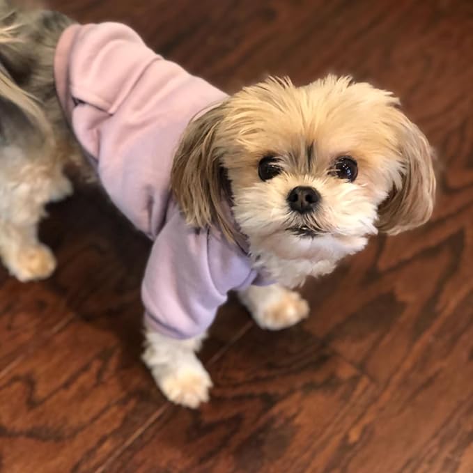 Jecikelon Winter Dog Hoodie Sweatshirts with Pockets Warm Dog Clothes for Small Dogs Chihuahua Coat Clothing Puppy Cat Custume (Purple, X-Large)