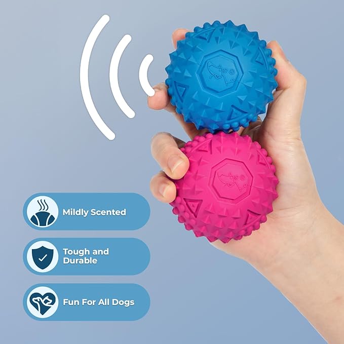 Best Pet Supplies Tough Dog Toys for Aggressive Chewers - Squeaky Dog Toys, Non-Toxic Spiky Ball for Dental Health, Interactive Toy, Pack of 4, Fuschia, Green, Blue, Orange (M:2.5")