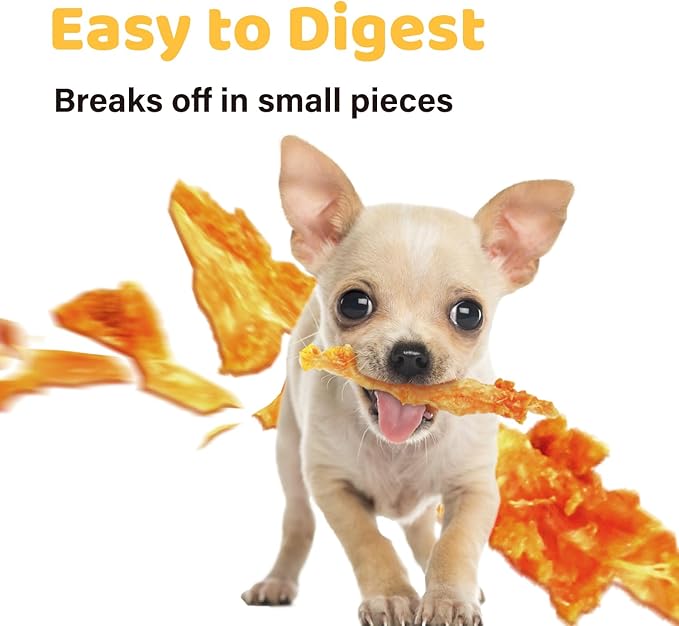 iPaw Turkey Tendons for Dogs 10 Pcs Value Pack, 100% Turkey and US Sourced Raw Material, Hypoallergenic, All Natural Human Grade Puppy Chew, Rawhide Alternative Dog Treats, Ring (Small)