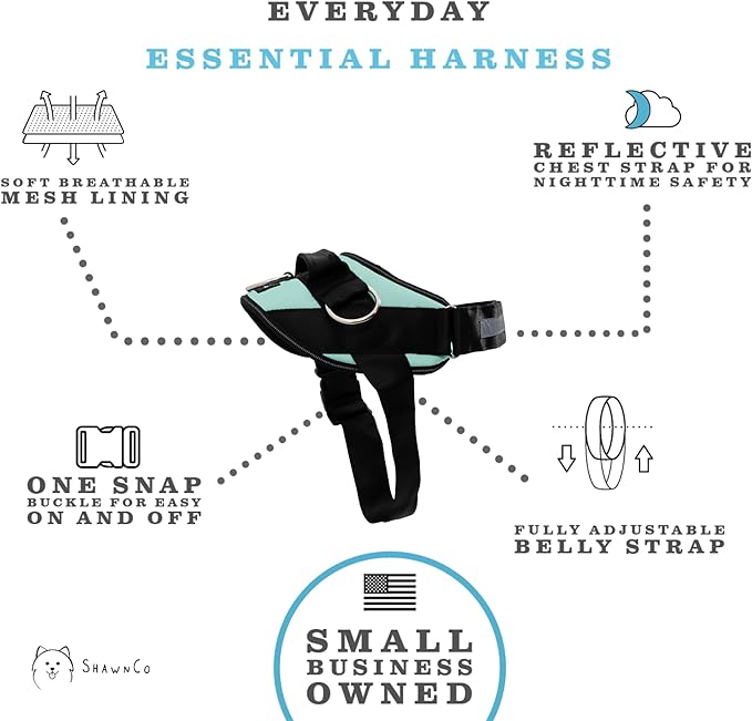 ShawnCo Essential Dog Harness, No-Pull Pet Vest with 3 Leash Clips, No Choke, Reflective, Adjustable and Padded, for Easy Walking and Training for Small, Medium and Large Dogs (Seafoam, L)