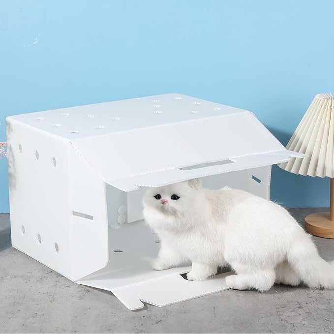 10 Pcs Plastic Pet Carriers 15.7 x 10.2 x 9.8 Inch for Small Animals Cat Hamster Guinea Pig Rabbit Bird Travel Box