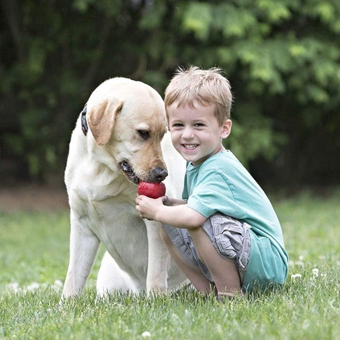 KONG Classic Stuffable Dog Toy - Fetch & Chew Toy for Dogs - Treat-Filling Capabilities & Erratic Bounce for Extended Play Time - Durable Natural Rubber Material - for Extra Large Dogs (Pack of 2)