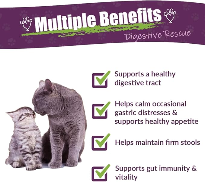 Amber NaturalZ Kitty-DT Digestive Rescue Herbal Supplement for Cats | Supports Normal Digestive Function and Occasional Gastric Upsets | Natural Aid for Gastrointestinal Health