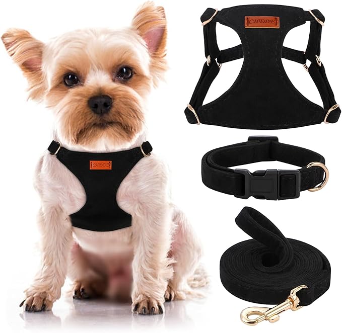 No Pull Dog Harness- Lightweight, Soft, Adjustable Small Harness Collar and Leash Set, Suitable for Cats Puppy Small and Medium-Sized Dog Outdoor Training and Running (Black, XS)