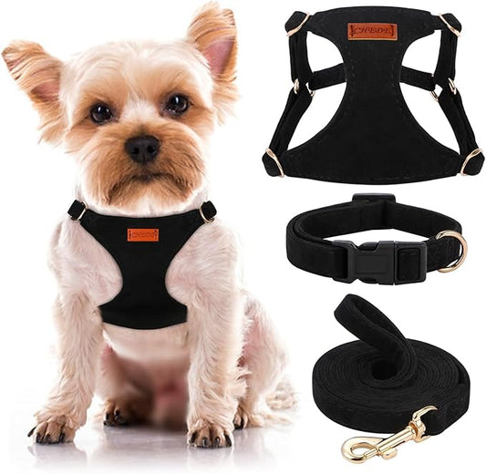 No Pull Dog Harness- Lightweight, Soft, Adjustable Small Harness Collar and Leash Set, Suitable for Cats Puppy Small and Medium-Sized Dog Outdoor Training and Running (Black, XS)