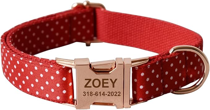 Custom Dog Collar with Names and Phone Number Engraved, Puppy Tags Personalized for Small Medium Large Pets