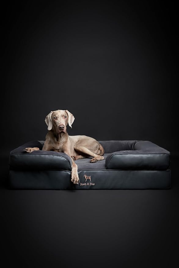 NOAH & PAW XL Dog Bed, 45x35x11 Inch, Orthopedic Large Dog Beds, Eggshell Memory Foam Infused with Cooling Gel, Inner Cover, Waterproof, Machine Washable (Faux Leather Sofa Collection)