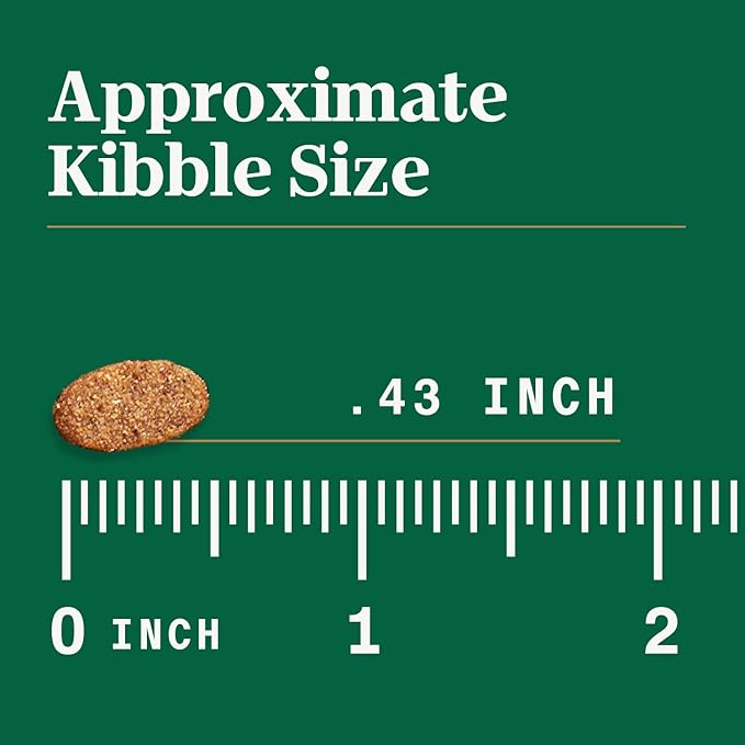 Nutro Ultra High Protein Dry Puppy Food, Trio of Proteins from Chicken, Lamb and Salmon, 3.5 lb Bag