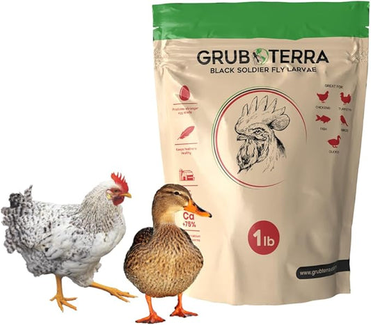 GrubTerra Golden Dried Black Soldier Fly Larvae - Premium Supplement to Increase Egg Production for Hen Treats, Bird Feed, Chicken Feeder, Pet Bird Food, and Wildbird Feed, Never from China! (1lb)