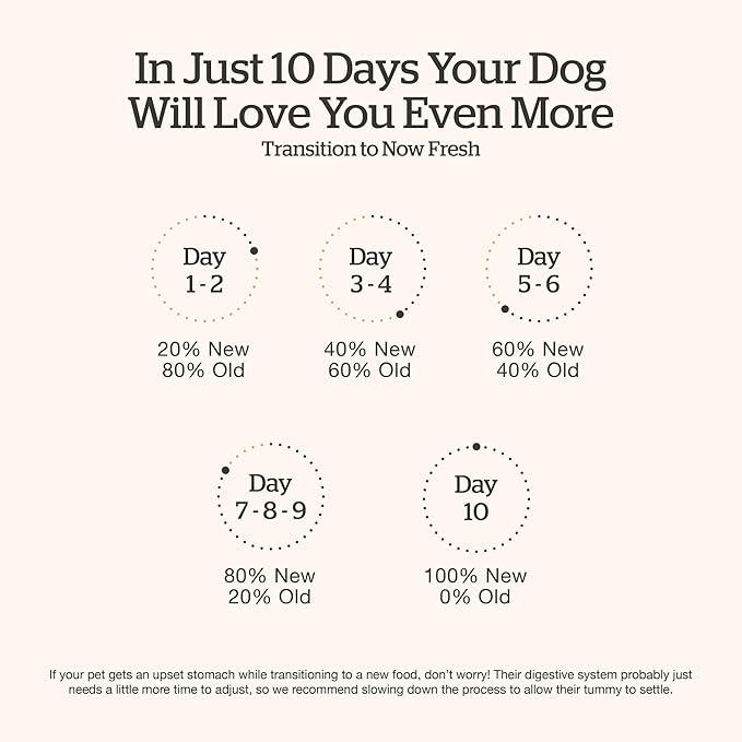 Now Fresh Grain-Free Small Breed Dry Dog Food with Turkey, Salmon & Duck, Healthy Kibble for Adults Made with Real Meat & Fish, Chicken-Free Recipe, Pumpkin & Probiotics for Good Digestion, 22 lb Bag