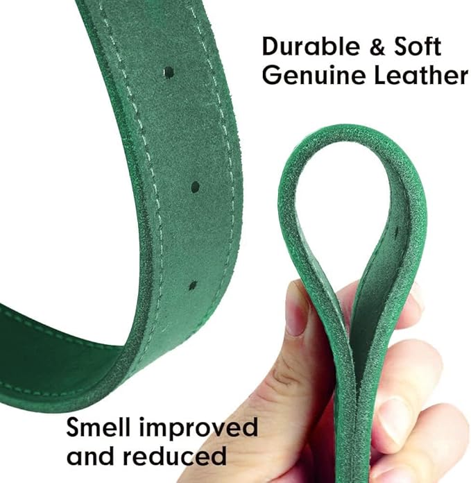 Didog Genuine Leather Dog Collars with Engraved Nameplate, Personalized Soft Leather Dog Collar with Custom ID Tag, Brown/Green/Red for Medium Large Dogs (XL,Green)