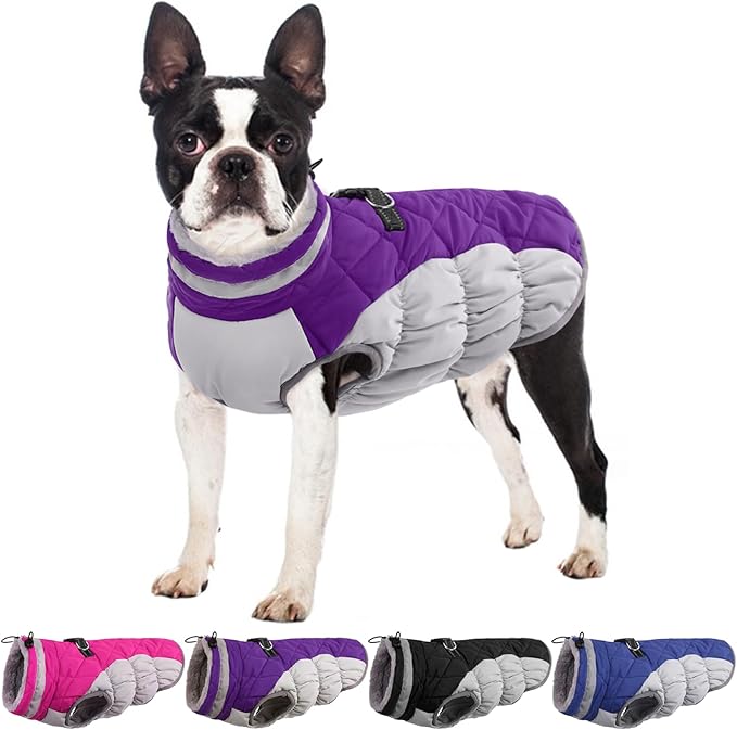 Dog Jackets for Medium Dogs,Medium Dog Coat,Warm Pet Winter Coat Zip Up Back,Waterproof Dogs Jacket with D-Ring,Pet Cold Weather Coats with Fleece Lined, Snowsuit Pug Boston Terrier,Purple,M