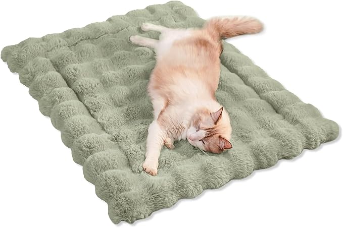 Cat Bed Plush Puppy Pad Mat with Non-Slip Bottom Faux Fur Kitten Beds for Carriers/Floor Dog Friendly 23 x 15 Inch Medium Green