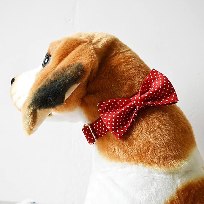 Custom Dog Collar with Names and Phone Number Engraved, Puppy Tags Personalized for Small Medium Large Pets