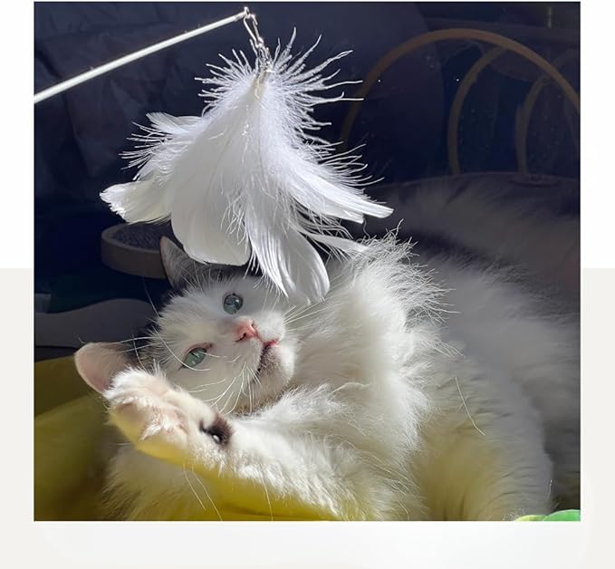 Cat Wand Toy Set – 2 Feather Teaser Wands with 4 Interchangeable Refills, 27" Flexible Wire & Wooden Handle, Interactive Play for Indoor Cats and Kittens