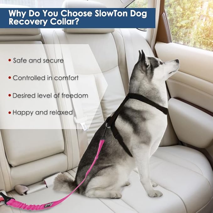 SlowTon Dog Seat Belt, Adjustable Dog Safety Belt Leash, 2 in 1 Latch Bar Attachment Dog Car Seatbelt with Elastic Nylon Bungee Buffer, Reflective Nylon Belt Tether (FU)