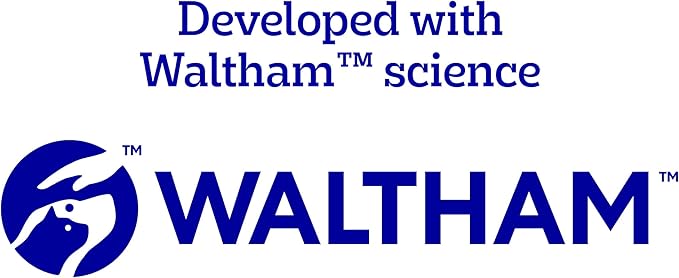 Pedigree Dentastix Small and Toy Breed Dog Treats, Fresh Flavor, 12.31 oz. Bag (51 Treats)