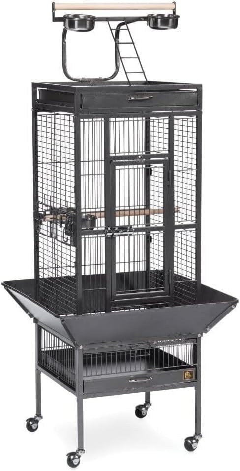 Retro Renaissance Iron Select Bird Cage with Elegant Design, Durable Construction, Easy-Clean Tray Black Hammertone