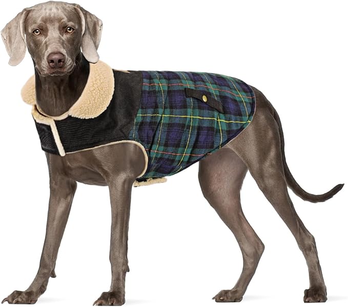 Winter Coat for Small and Medium Dogs, Puppy Plaid Jacket, Cotton Coat for Cold Weather, Windproof Warm Dog Garments, Pet Thickened Outfits Indoor Outdoor, Green XL