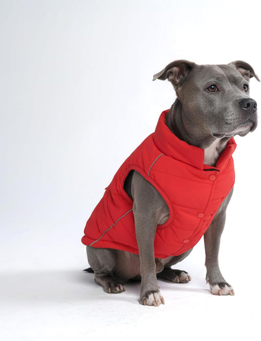 Spark Paws Dog Winter Jacket, Water-Resistant Coat, Warm Reflective Windproof Fleece-Interior, for Medium and Large Dogs - Red - 3XL