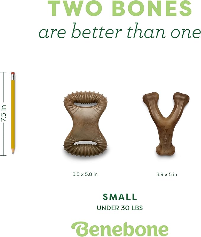 Benebone 2 Count (Pack of 1) Wishbone/Dental Durable Dog Chew Toys, Real Bacon, Made in USA, Small