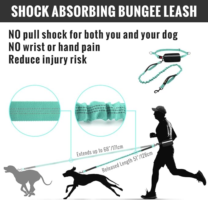 Plutus Pet Hands Free Dual Handle Retractable Bungee Leash with Reflective Stitches, Adjustable Waist Leash for Dog Walking Running Jogging, Medium Large Dogs