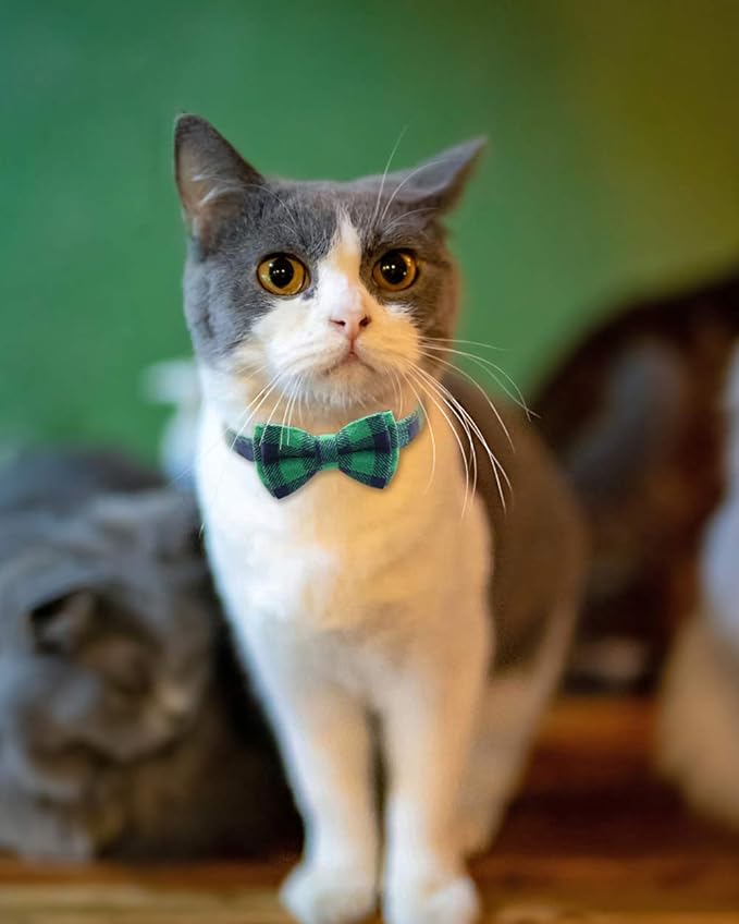 Joytale Upgraded Cat Collar with Bells, Breakaway Cat Collars with Bow Tie, 1 Pack Girl Boy Safety Plaid Kitten Collars, Green
