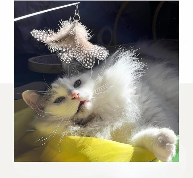 Cat Wand Toy Set – 2 Feather Teaser Wands with 4 Interchangeable Refills, 27" Flexible Wire & Wooden Handle, Interactive Play for Indoor Cats and Kittens