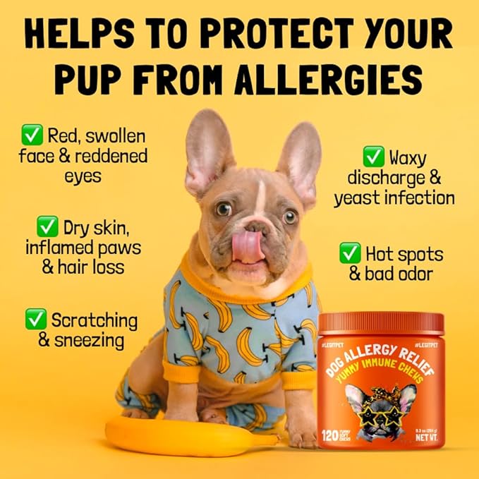 Allergy Relief Chews for Dogs & Immune & Digestive Supplement with Wild Salmon Oil Kelp Colostrum Turmeric Probiotics & Bee Pollen for Seasonal Allergies Anti Itch, Skin Hot Spots 120 Soft Treats