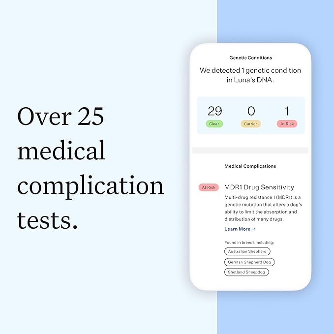 Wisdom Panel Essential Dog DNA Kit: Most Accurate Test for 365+ Breeds, 30 Genetic Health Conditions, 50+ Traits, Relatives, Ancestry - 2 Pack