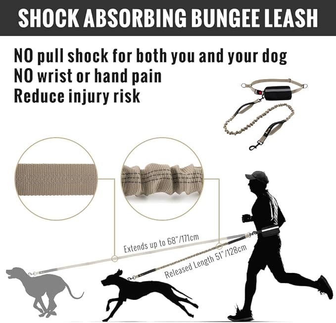 Plutus Pet Hands Free Retractable Bungee Leash with Reflective Stitches, Dual Handle Adjustable Waist Leash for Dog Walking, Running, Jogging, Medium Large Dogs