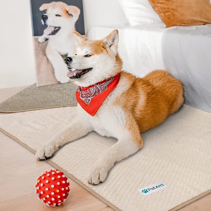 PetAmi Waterproof Dog Blanket, Leakproof Puppy Blanket for Small Medium Dog, Furniture Sofa Couch Cover Protector, Fleece Pet Throw Indoor Cat Kitten, Reversible Washable Soft Plush, 24x32 Taupe Beige