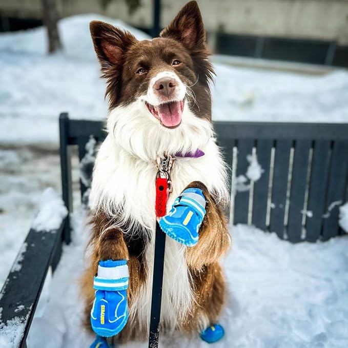 QUMY Dog Shoes for Large Dogs, Medium Dog Boots & Paw Protectors for Winter Snowy Day, Summer Hot Pavement, Water-Resistant in Rainy Weather, Outdoor Walking, Indoor Hardfloors Skid-Resistant Sole