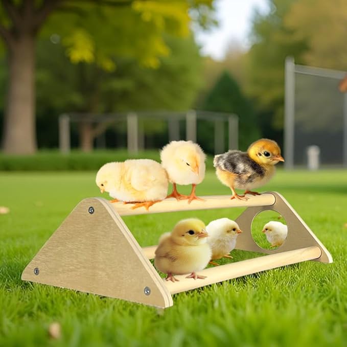 Chicken Toys with Mirror, Roosting Bars for Chicks in Coop and Brooder, Wooden Chicken Perch, Coop Accessories for Large Bird, Baby Chicks, Parrot, 2 Pack