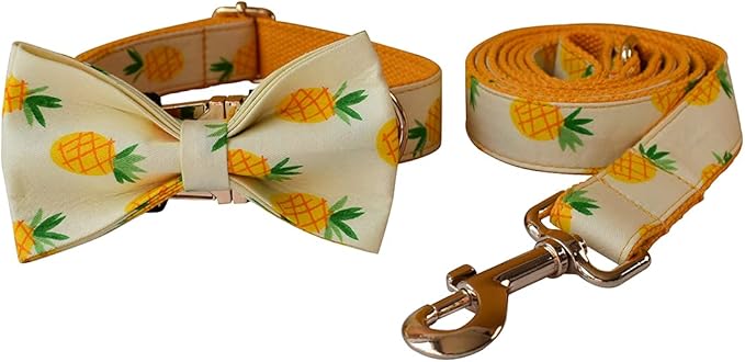 Custom Dog Collar with Names and Phone Number Engraved, Puppy Tags Personalized for Small Medium Large Pets